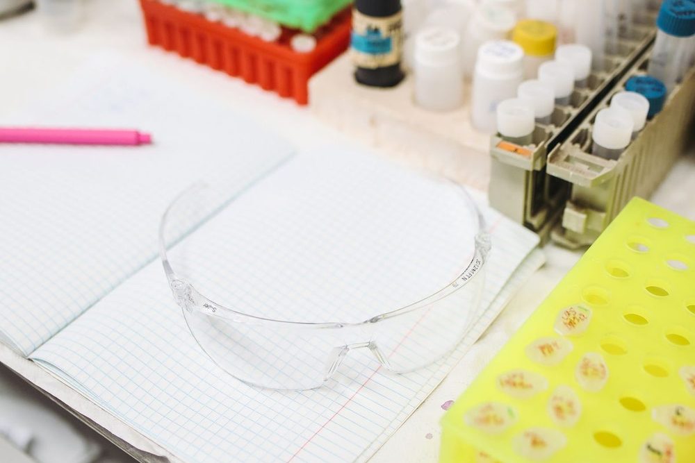Laboratory bench with test tubes and sample racks (stock photo)